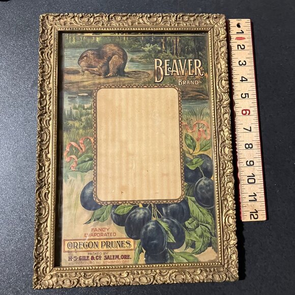 Antique 1909 Calendar in Ornate Gesso Frame Beaver Prunes HS Gile Salem Oregon - Picture 2 of 8